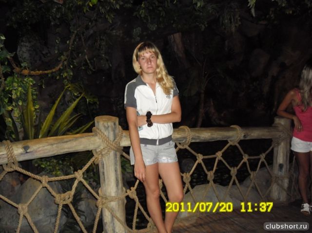 81170_y_b80073ca.jpg